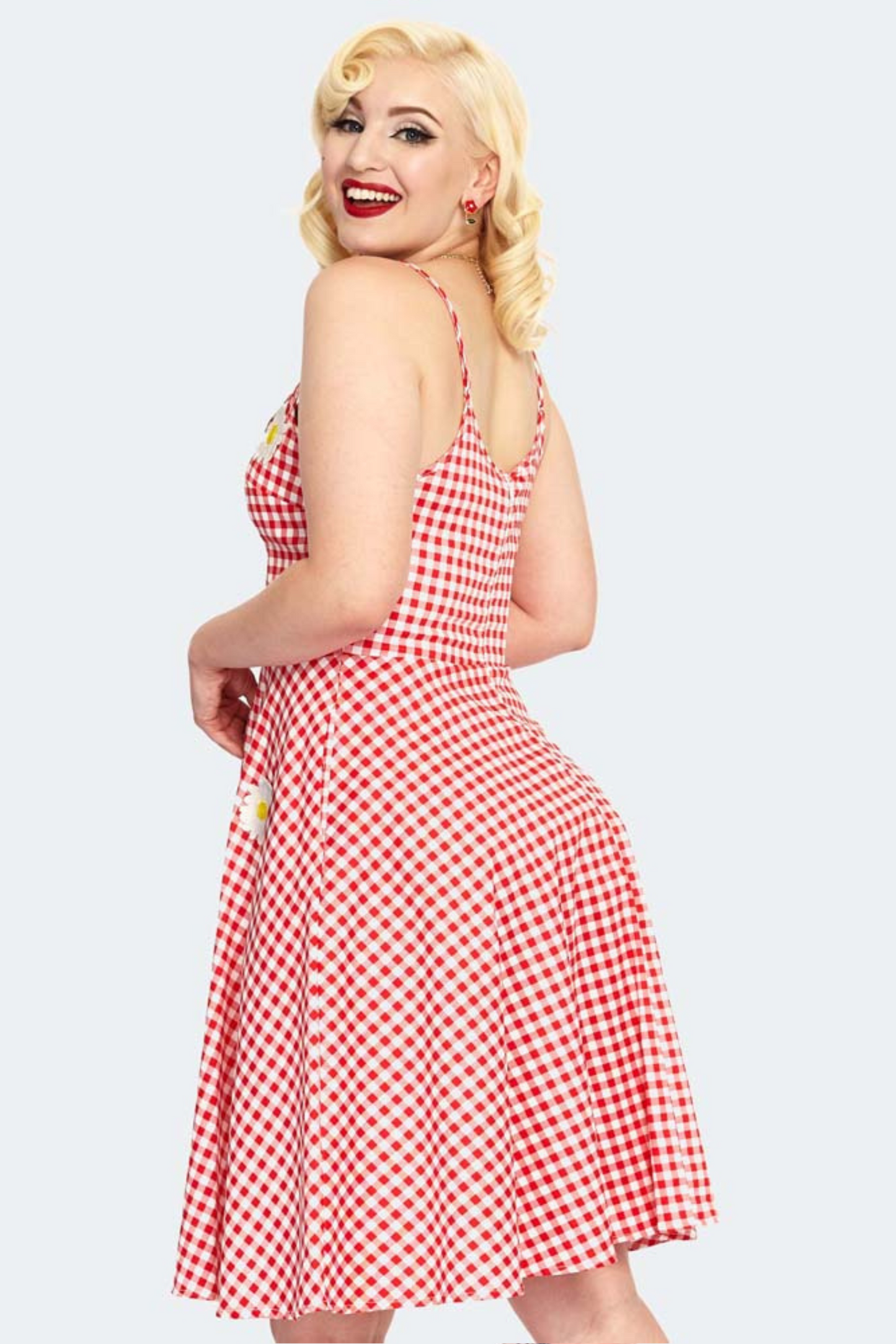 Gingham Floral Embroidered Flare Dress