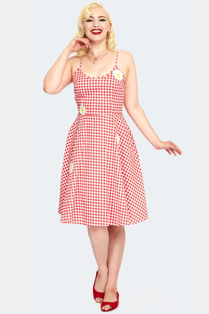 Gingham Floral Embroidered Flare Dress - Red