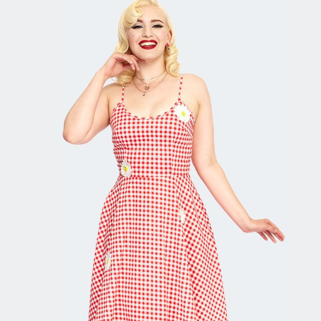 Gingham Floral Embroidered Flare Dress - Red